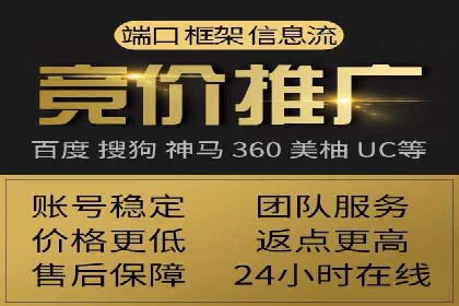 SEM推广策略：成功案例解析与效果评估